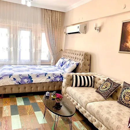 Oldtown Timeless Aplus